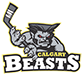 2012 Calgary Beasts