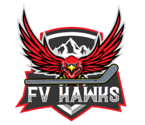 2015 AAA FV Hawks